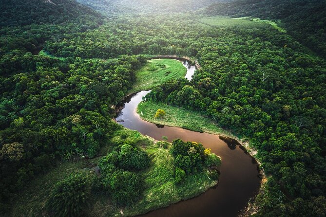 Manu Jungle Tour From Cusco (4 Days) - Itinerary Breakdown