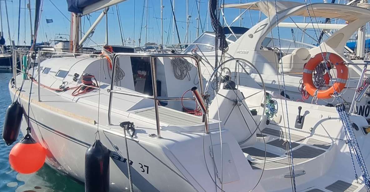 Marbella: Dolphin-Watching Sailboat Trip With Drinks, Snacks - Highlights of the Experience