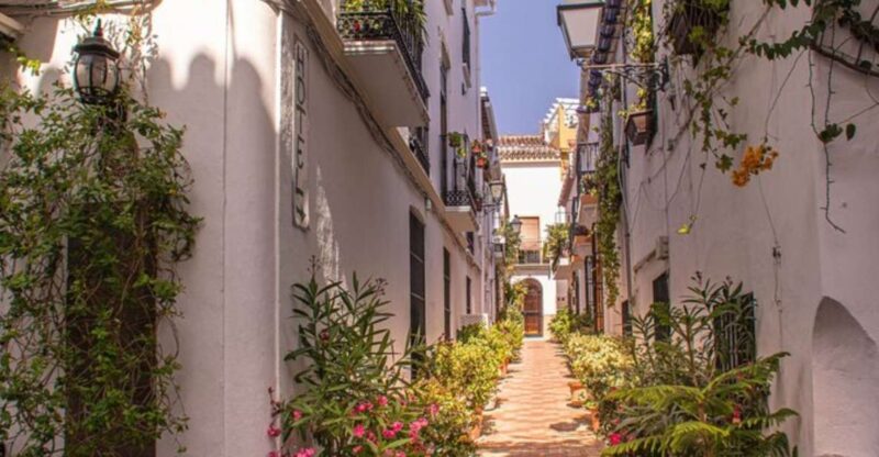 Marbella: Private Customizable Walking Tour With Guide - Customization Opportunities