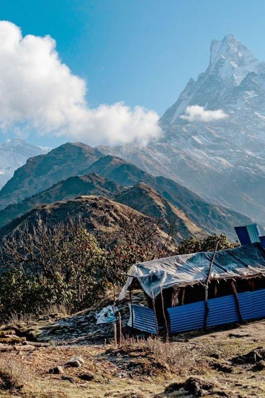 Mardi Himal Adventure Treks With or Without Group - Experience and Highlights