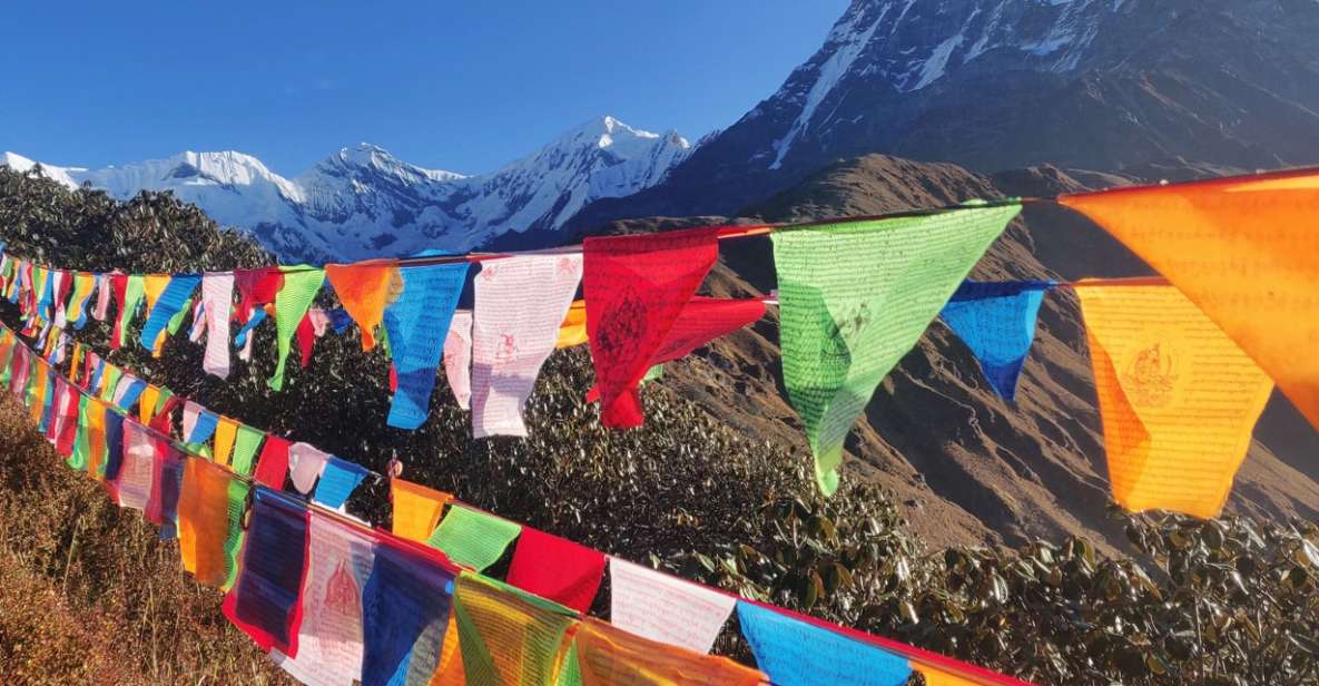 Mardi Himal Base Camp Yoga Trek 7-Day - Detailed Trek Itinerary