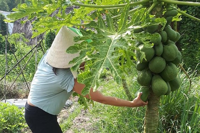 Market to Farm to Table Cooking Class in Saigon - Class Activities Breakdown