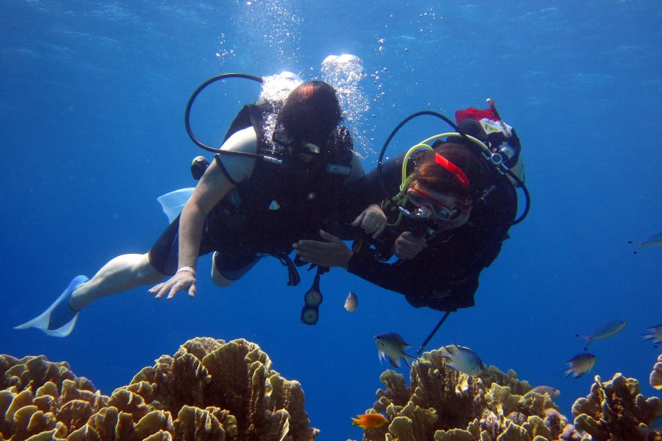 Marmaris: Scuba Diving Experience With 2 Dives and Lunch - Diving Experience Details