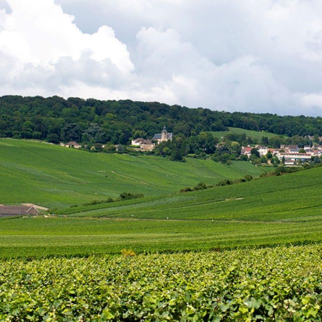 Marne: Champagne Region Private Day Tour With Lunch - Culinary Highlights