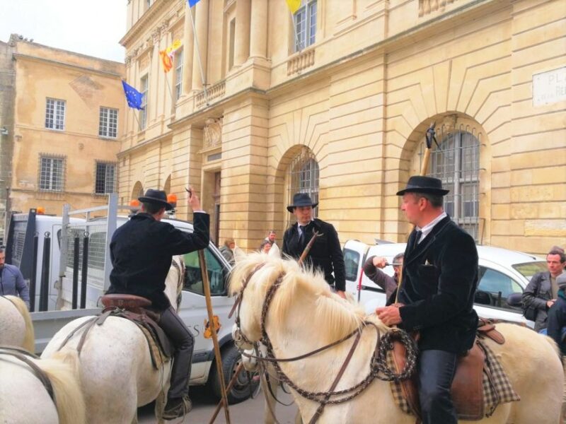 Marseille: The Camargue 8-Hour Guided Outing - Booking Information
