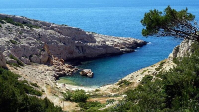 Marseille: Vieux-Port & Panier Walking Tour - Pricing and Booking Information