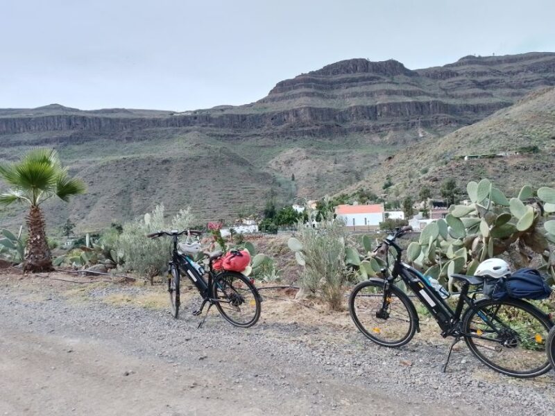 Maspalomas: Ayagaures E-Bike Mountain Tour Optional Tapas - Itinerary Highlights