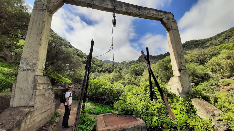 Maspalomas: Barranco De Los Cernicalos Rainforest Hike - Booking and Cancellation