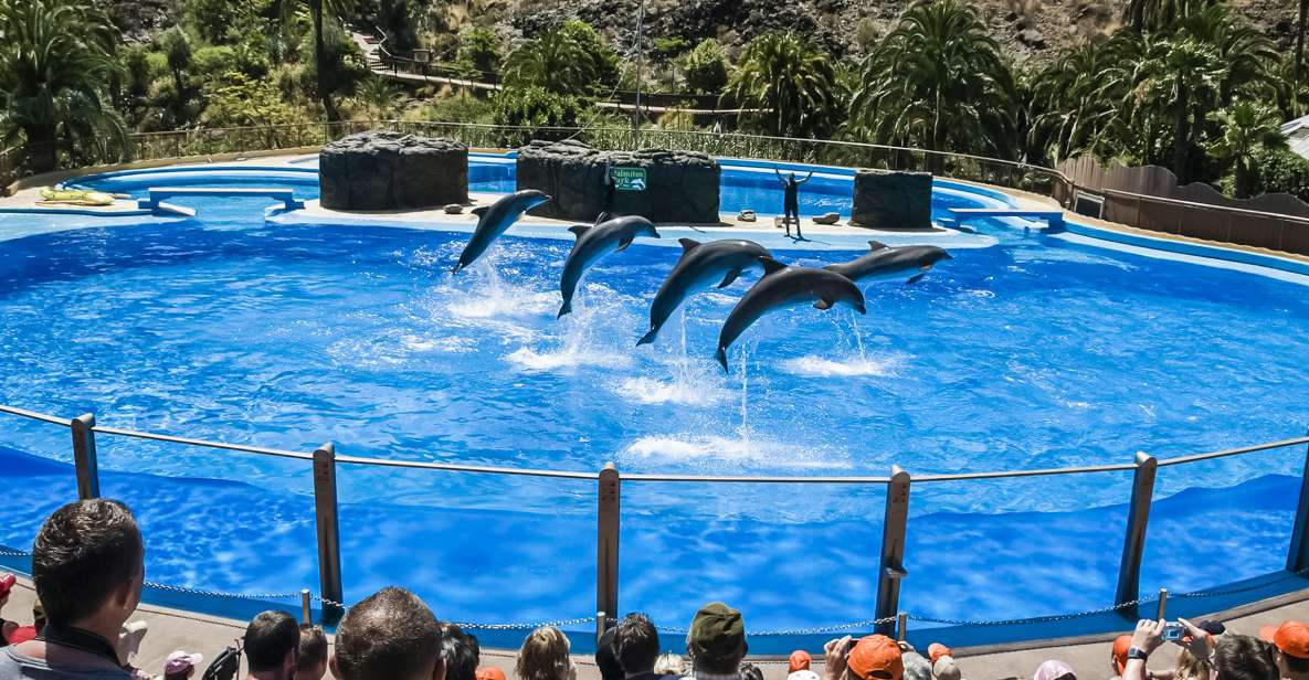 Maspalomas: Palmitos Park Ticket With Dolphin and Bird Shows - Park Location and Overview