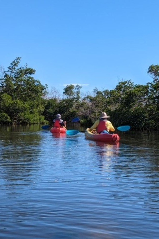 Matlacha: Dolphin & Mangrove Kayak Tour - Experience Highlights