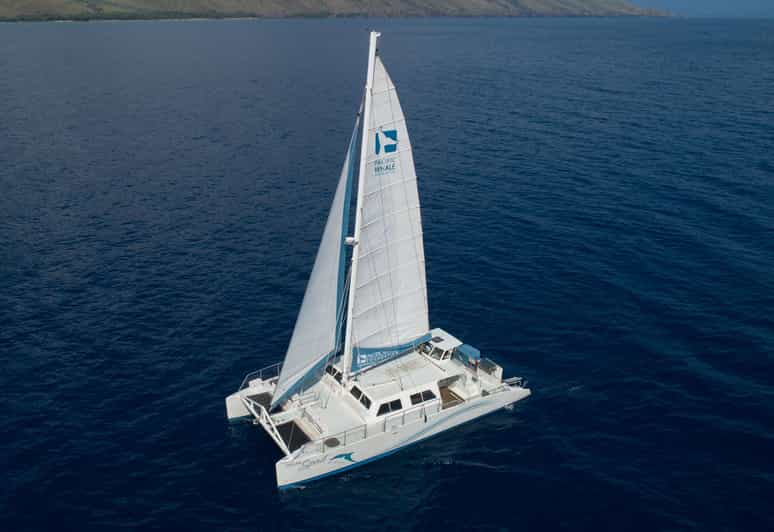 Maui: Molokini Crater Luxury Catamaran Sail - Itinerary Highlights