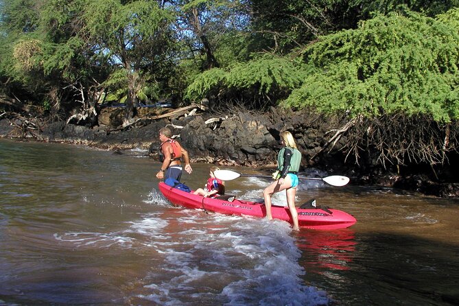 Maui South Shore Premier Kayak and Snorkel Tour From Makena Beach - Wildlife Encounters