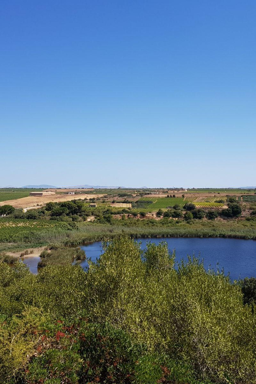 Mazara Del Vallo: Wine Tasting in the Nature Reserve - Location and Environment