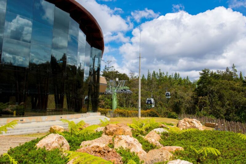Medellin: Guided Nature Discovery Tour - Highlights of the Experience