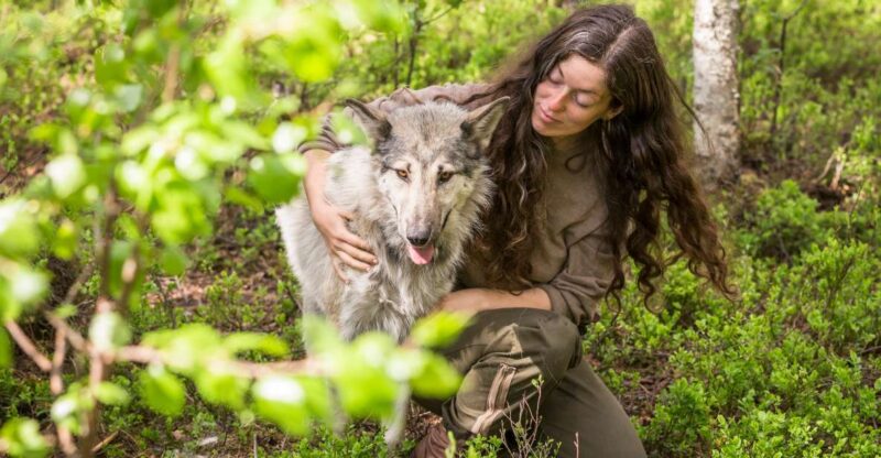Meet Taivas & the Arctic Wolves - Private Tour - Experience Highlights