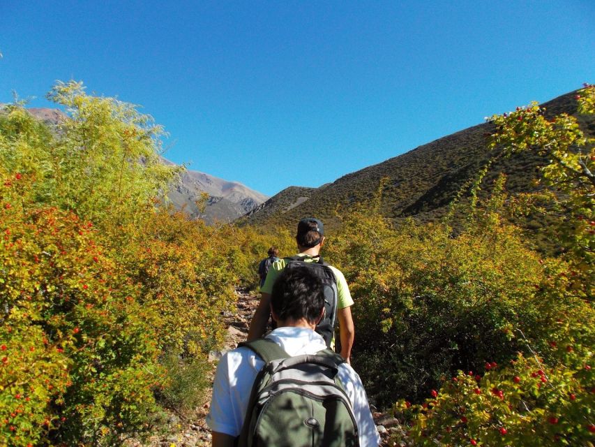 Mendoza: 4-Hour Mountain Trekking With Lunch - Amenities Provided During the Trek