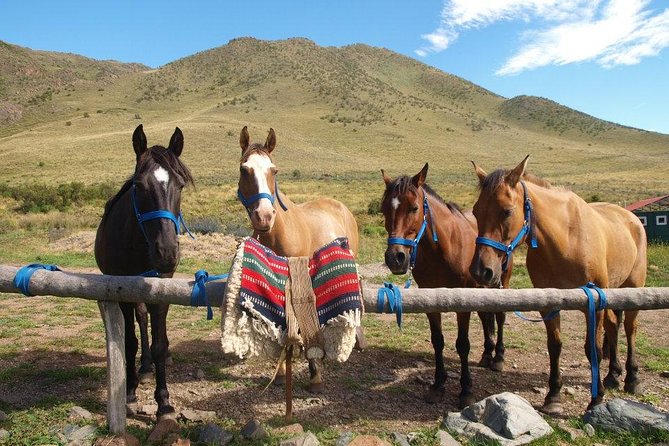 Mendoza Horseback Riding Tour With Traditional Argentine Asado - Location and Reviews