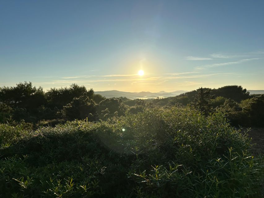 Menorca Awakens: Breakfast at Sunrise - Exploring Cala Algaiarens