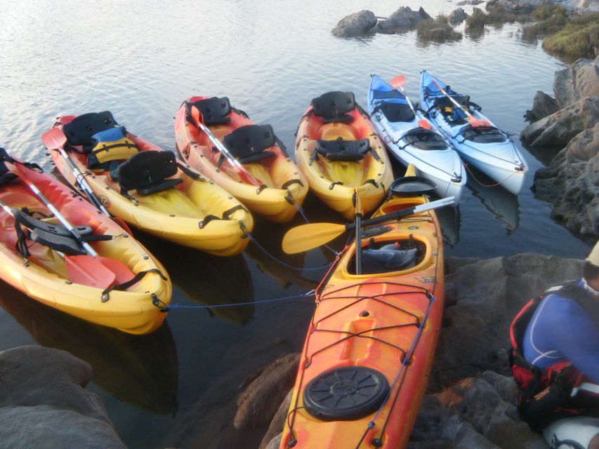 Menorca: Half-Day Kayak Excursion in Fornells - Experience Details