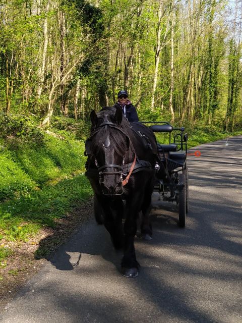 MENTHEVILLE : Horse Cariage Ride in Coutryside - Itinerary Details