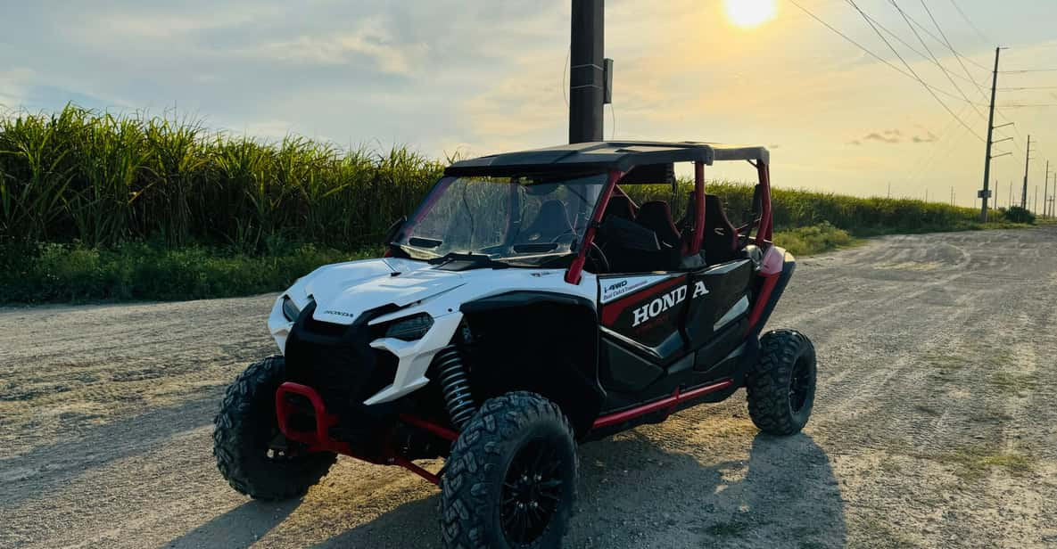 Miami: Drive a Honda Talon UTV for the Ultimate Adventure - Pricing Details