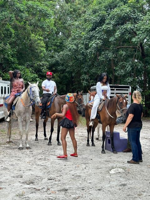 Miami: Horseback Riding in South Beach - How to Book Your Tour