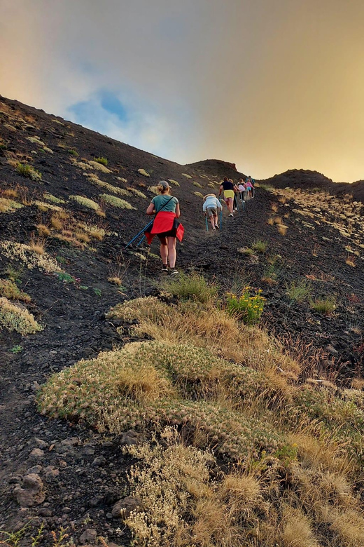 Minivan Tour From Siracusa to Mount Etna - Booking Information