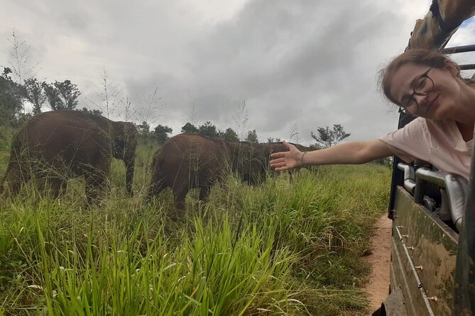 Minneriya National Park Elephant Jeep Safari Private Tour - Jeep Safari Experience