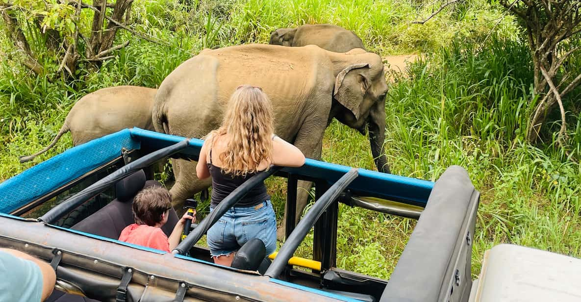 Minneriya National Park Safari in Golden Hours 4x4 Jeep - Pickup and Accessibility