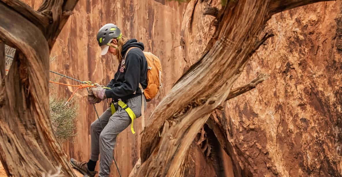 Moab: Fins and Things Canyoneering Adventure Tour - Highlights of the Adventure