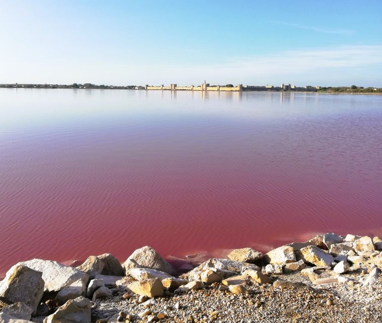 Montpellier: Guided Half-Day Trip to a Camargue Manade - Experience Highlights