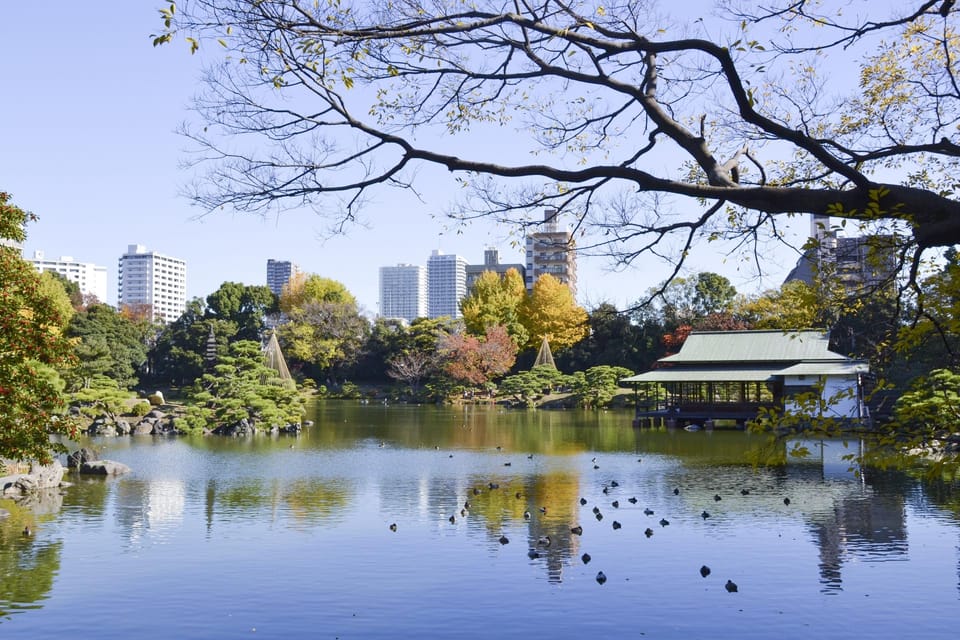 Monzen-Nakachō: Walking Tour With Sashimi Lunch & Teamlab - Kiyosumi Gardens Experience