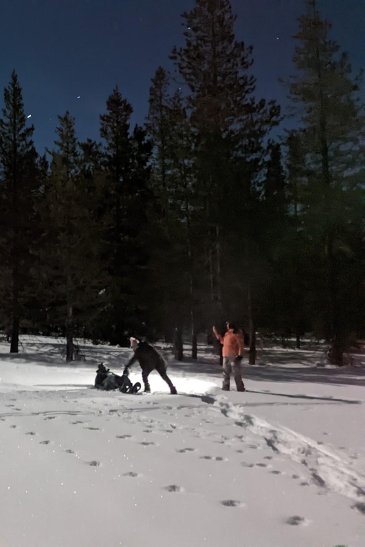 Moonlight Snowshoe Tour Under a Starry Sky - Traverse Lake Tahoes Forest