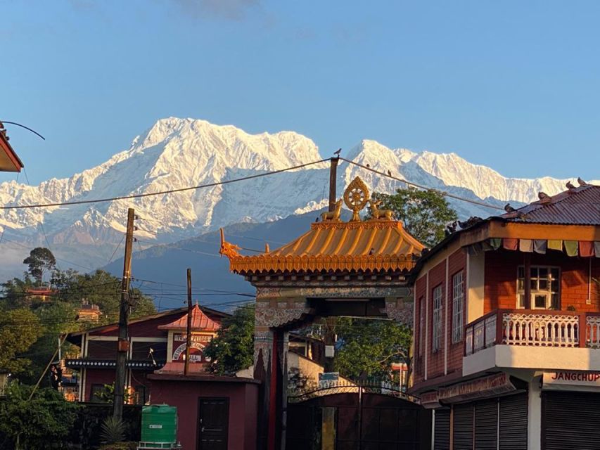 Morning Half Day Tibetan Cultural Tour - Itinerary Highlights