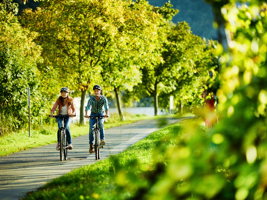 Mosel: Bike and Boat Tour With Picnic and Wine Tasting - Pricing and Inclusions