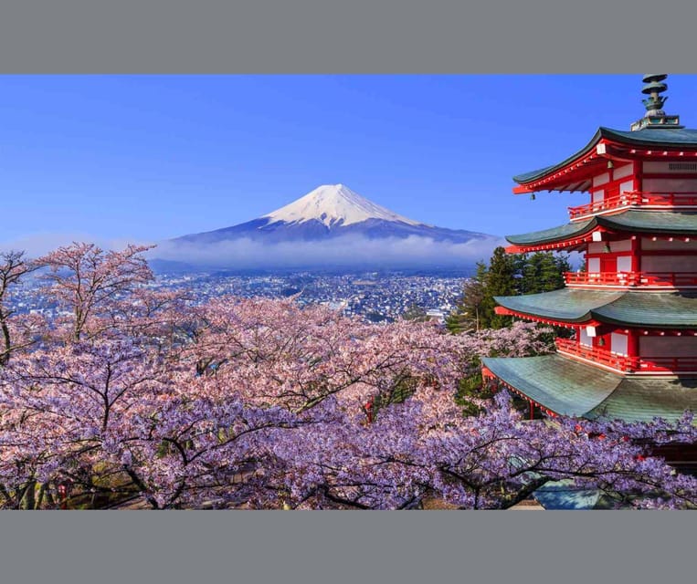 Mount Fuji and Hakone Private Tour English Speaking Driver - Itinerary Highlights