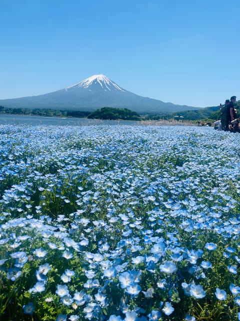 Mount Fuji and Lake Kawaguchiko Tour With English Guide - Tour Features