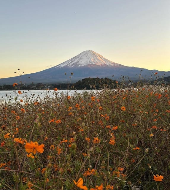 Mount Fuji Customizable Day Tour With English Guide - Vehicle and Amenities