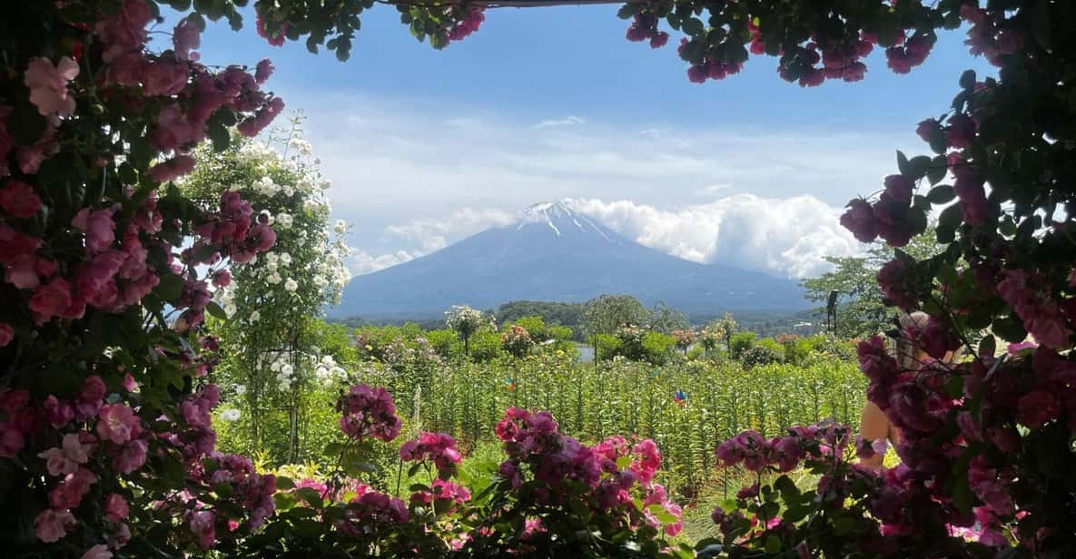 Mount Fuji Day Trip: Adventure Around Lake Kawaguchiko - Scenic Views of Mount Fuji