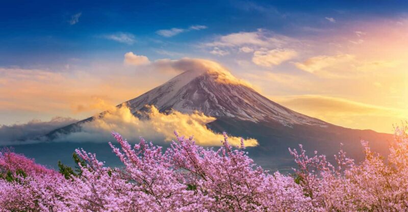 Mount Fuji: Exclusive Private Car Tour - Transportation Options