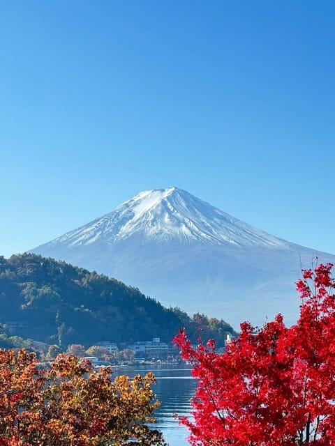 Mount Fuji Full Day Sightseeing Private Tour - Pickup and Accessibility