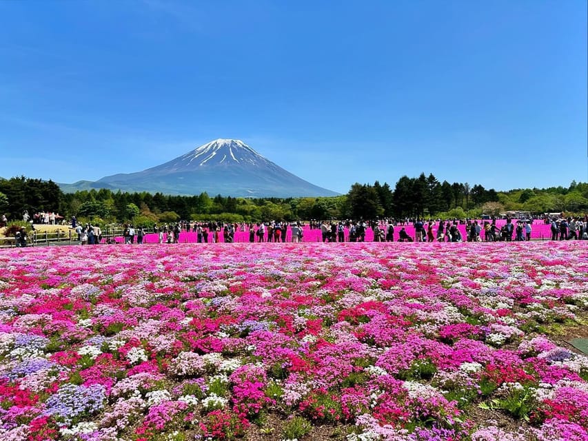 MOUNT FUJI FULL DAY TOUR ALONG WITH A ENGLISH GUIDE - Itinerary Highlights