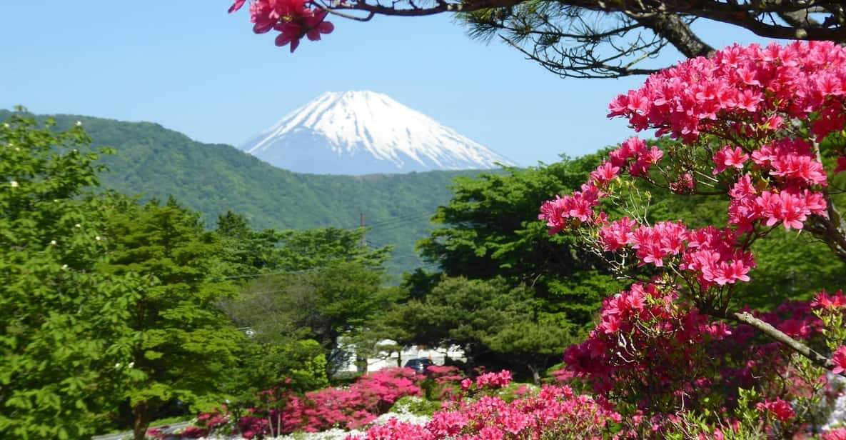 Mount Fuji & Hakone Tour - Booking Information