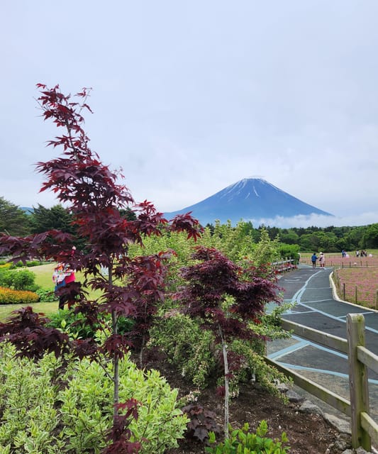 Mount Fuji One Day Private Tour by Car With English Driver - Itinerary Highlights