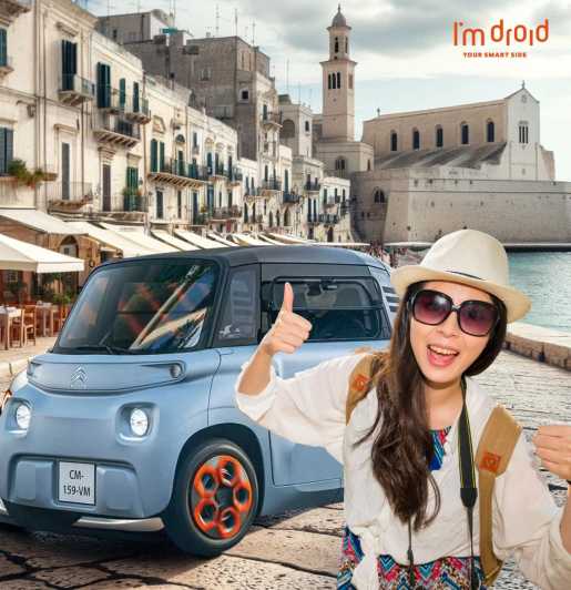 Move in the City! Rent a Microcar for Fun City Exploration - Vehicle Features and Support