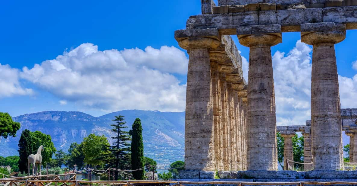 Mozzarella Tour in Paestum - Itinerary Highlights