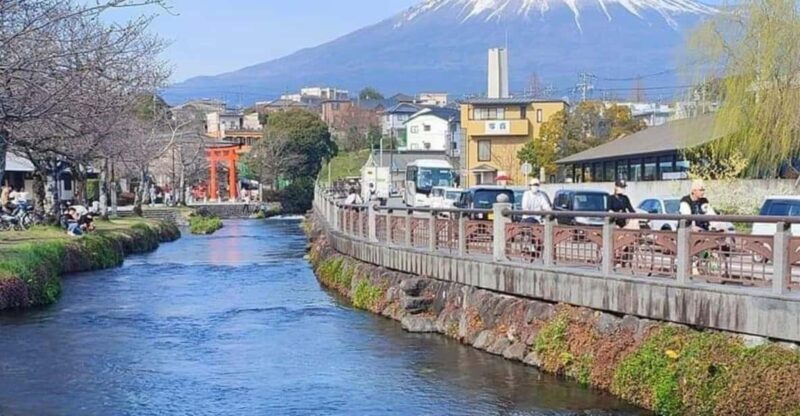 Mt Fuji and Hakone Private Tour With English Speaking Driver - Customizable Options