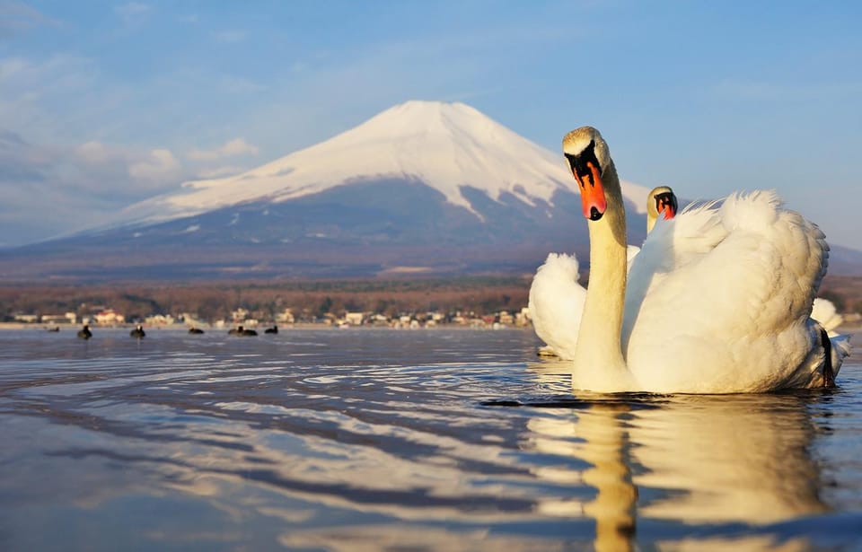 Mt.Fuji, Lake Kawaguchi &Yamanaka, Hot Spring Full-Day Tour - Seasonal Attractions