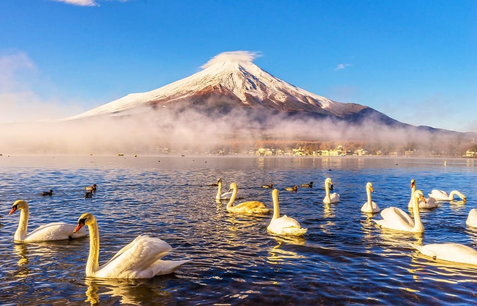 Mt.Fuji: Oshino Hakkai, Hakone, Owakudani Cable Car Day Trip - Transportation Details