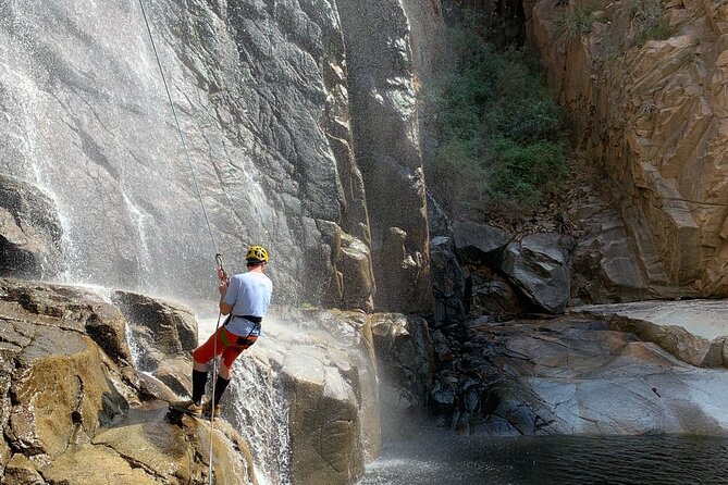 Mt. Lemmon Half Day Rock Climbing or Canyoneering in Arizona - Customer Testimonials